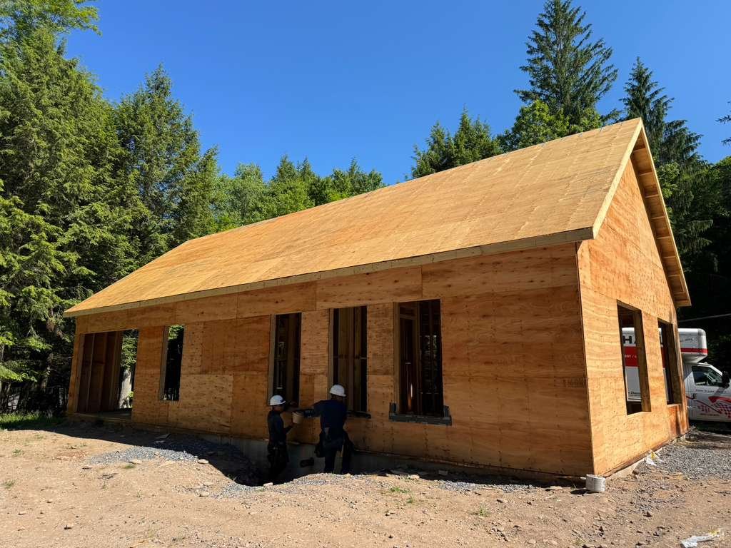 Sin título Sin título