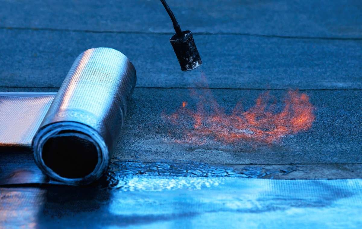 5lTTjPjWpP4n_1200x0_XJLHedU5